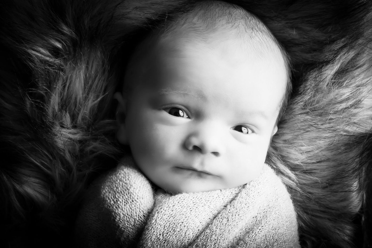newborn photo