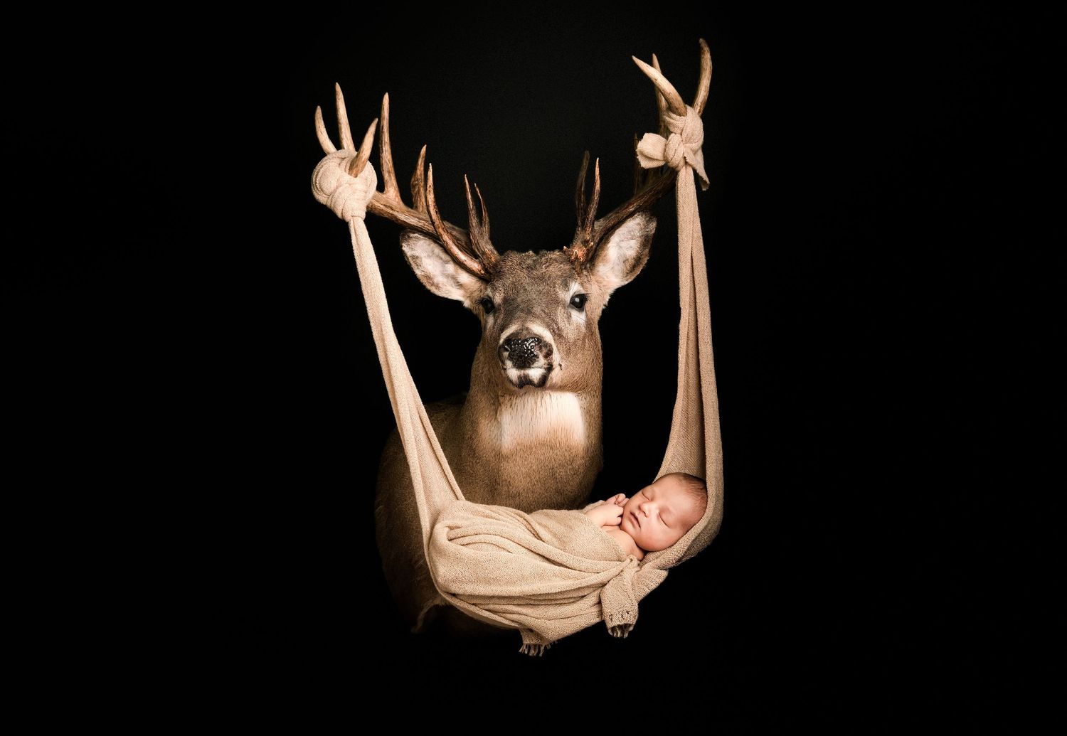 Newborn baby sleeping in a hammock sling held by a mounted deer trophy on black background.