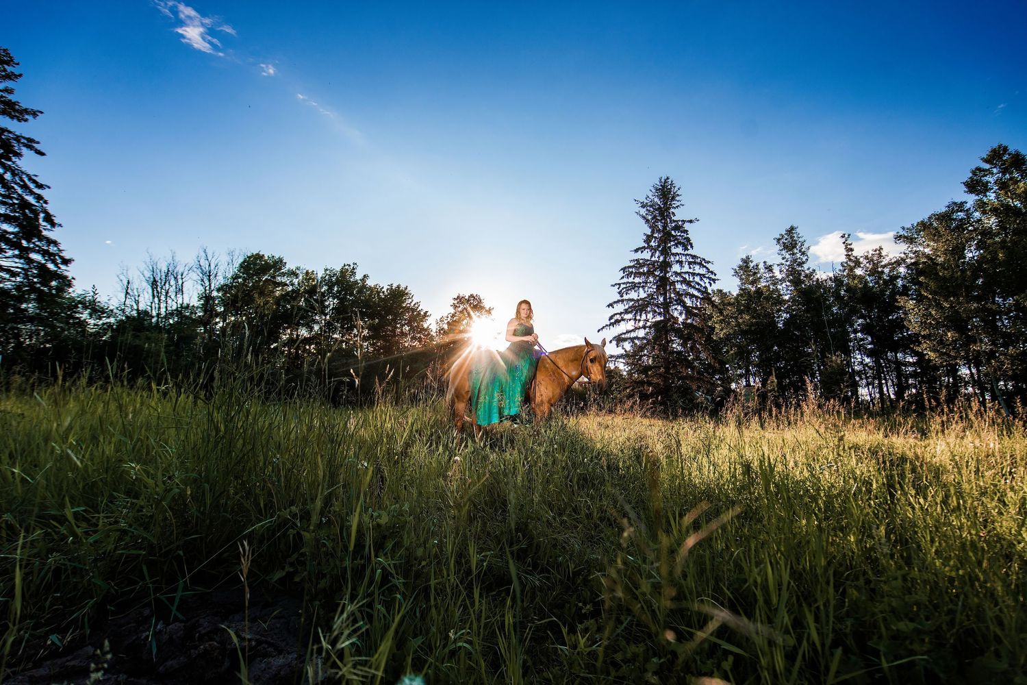 Person riding a chestnut horse through tall green grass in a sunlit field with trees and blue sky.