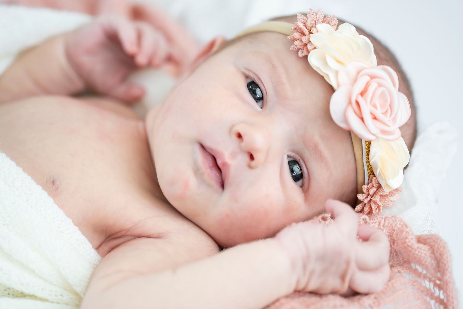 newborn photo