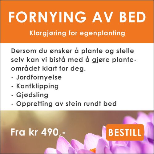 Gravstell i Lofoten fra Gravpasserne