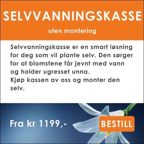 Gravstell i Lofoten fra Gravpasserne