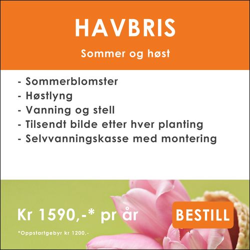 Gravstell i Lofoten fra Gravpasserne