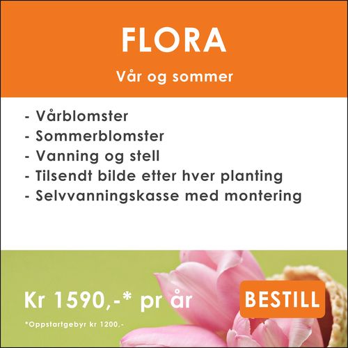 Gravstell i Lofoten fra Gravpasserne
