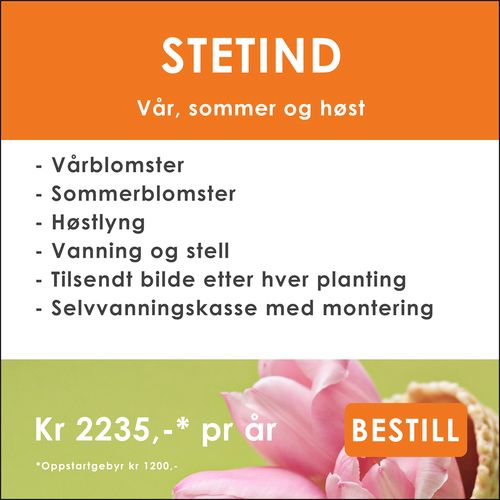 Gravstell i Lofoten fra Gravpasserne