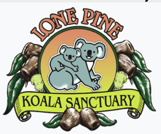 Lone Pine Koala Sanctuary colorful logo featuring two koalas surrounded by eucalyptus leaves.