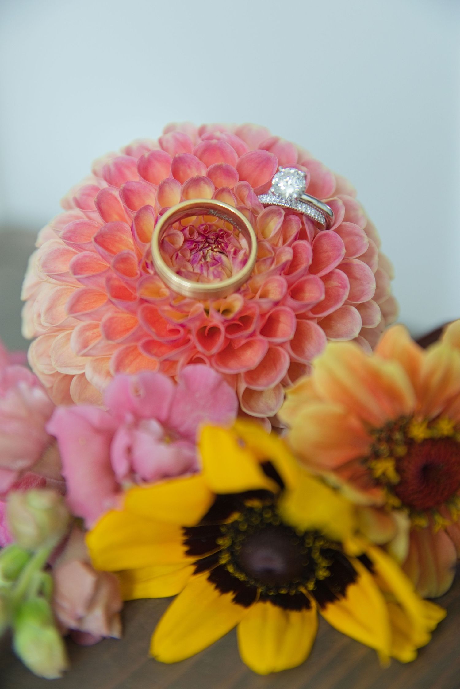 Gold wedding band and diamond engagement ring resting on a vibrant pink dahlia surrounded by colorful flowers.