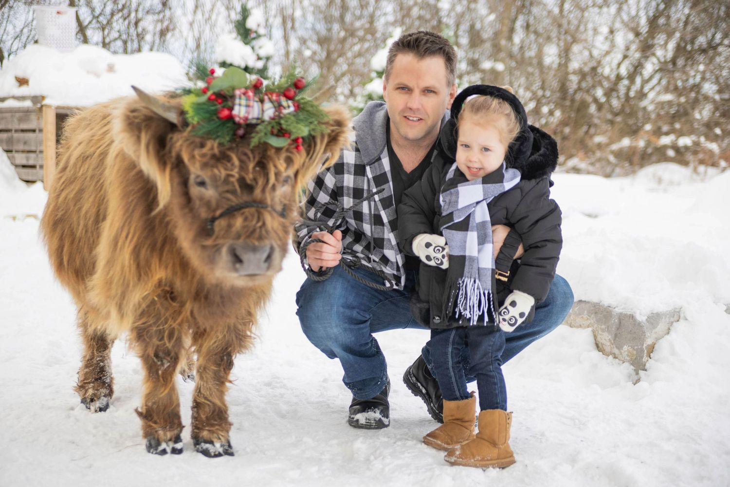 Man and child pose with a festive wreath-adorned Highland cow in a snowy winter landscape.