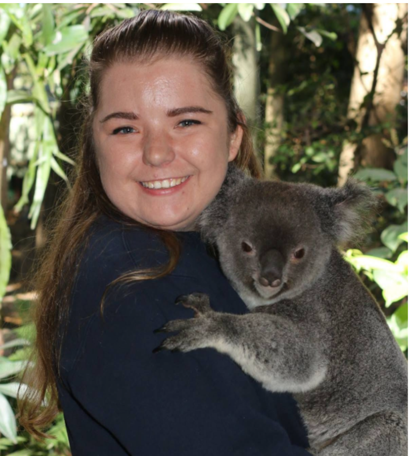 Smiling young woman holding a koala bear at an Australian wildlife sanctuary.