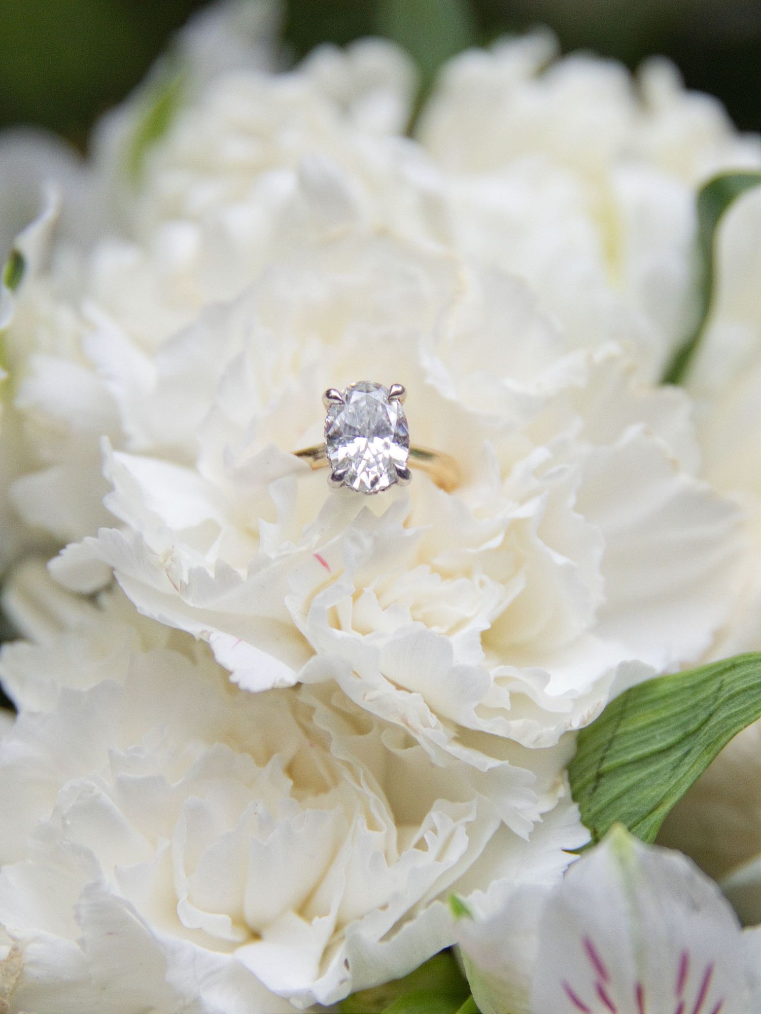 Oval diamond solitaire engagement ring in gold setting resting on white peony flowers.