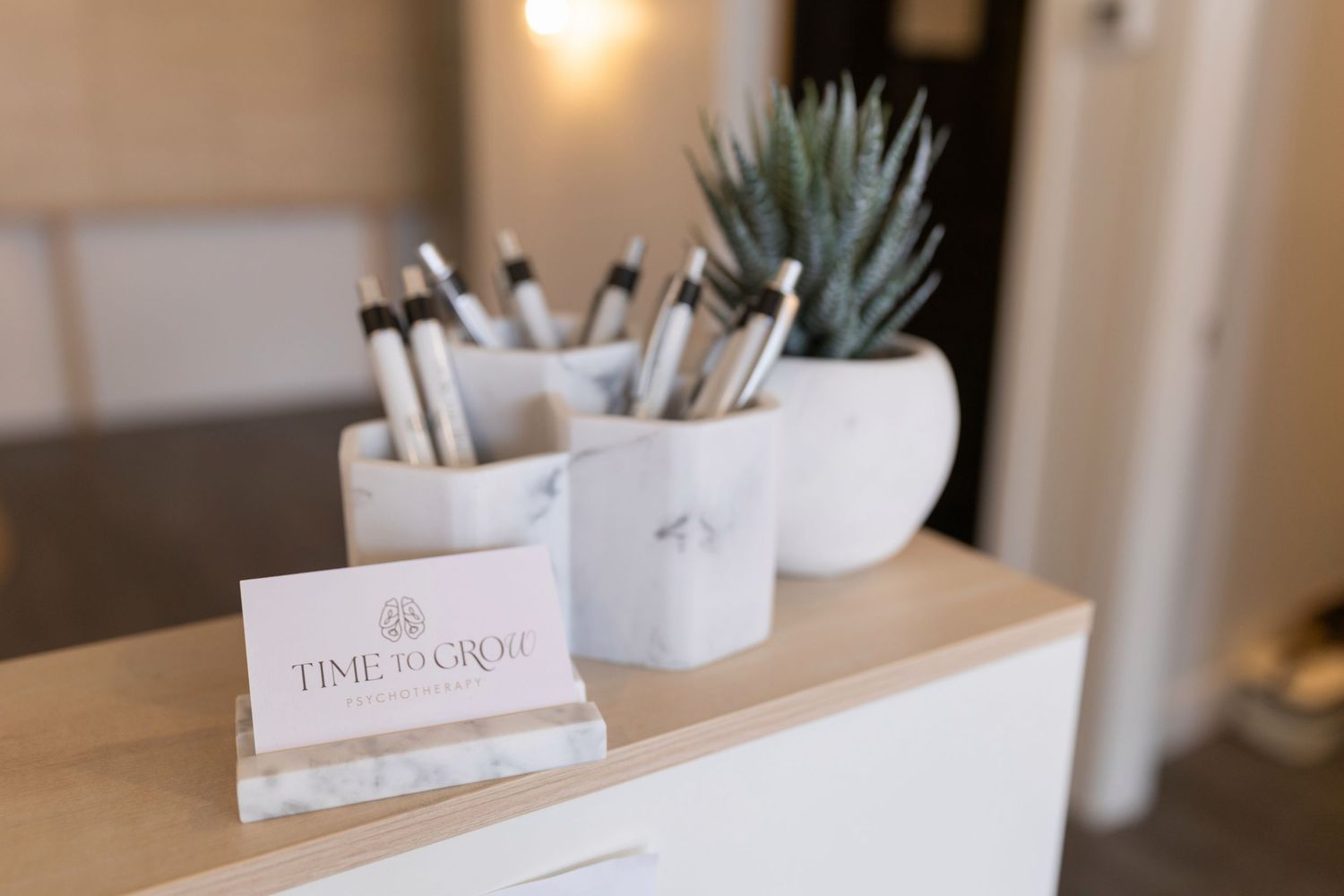 Time to Grow business card display on wooden desk with marble pen holders and succulent plant.