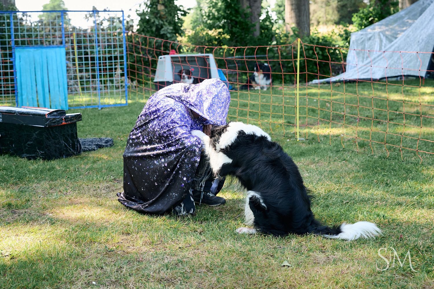 Person in purple dress sitting on grass with a black and white Border Collie dog at an outdoor event.