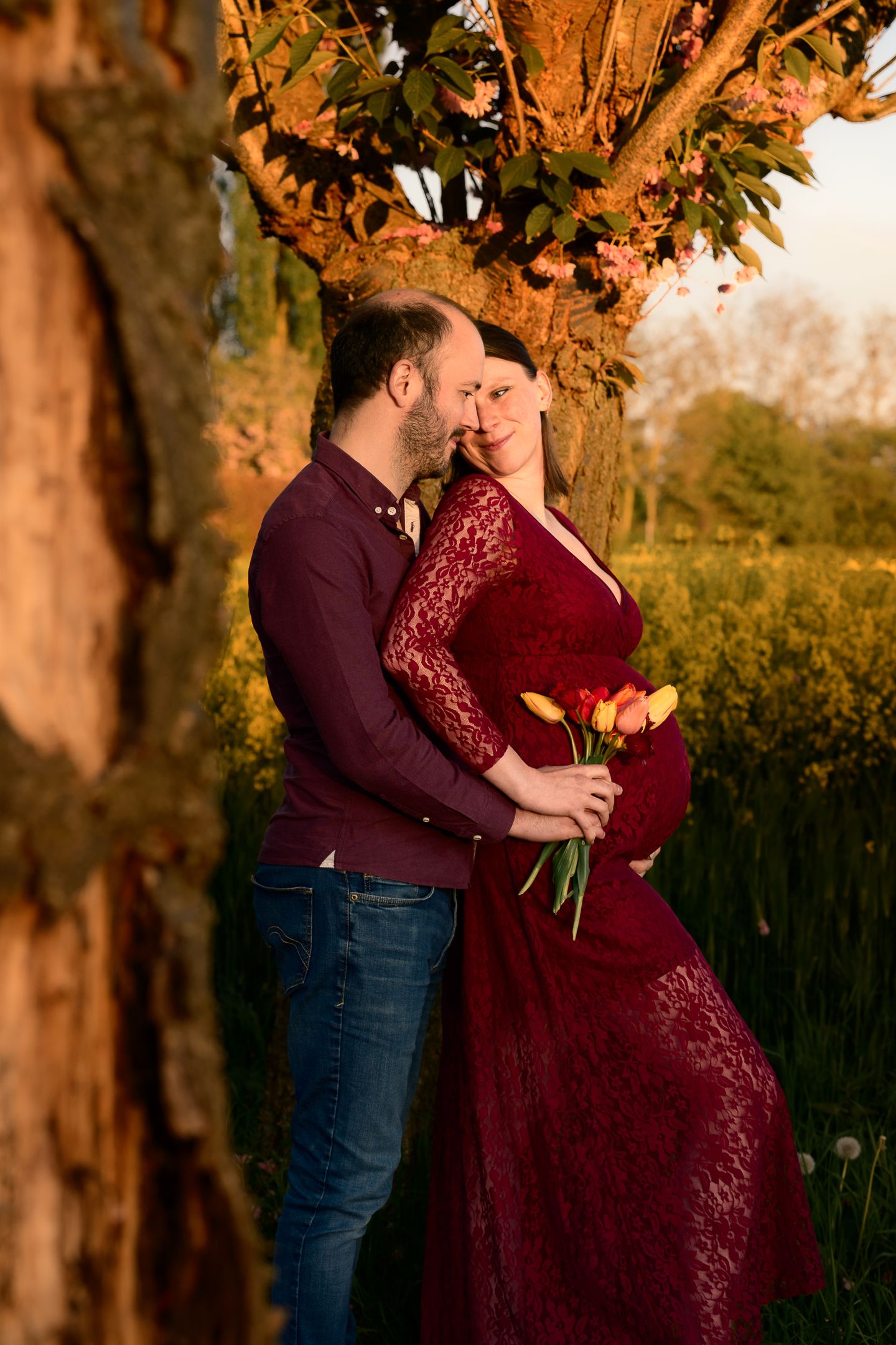 Pregnant woman in red lace dress holds tulips while partner embraces her under blooming tree at golden hour.