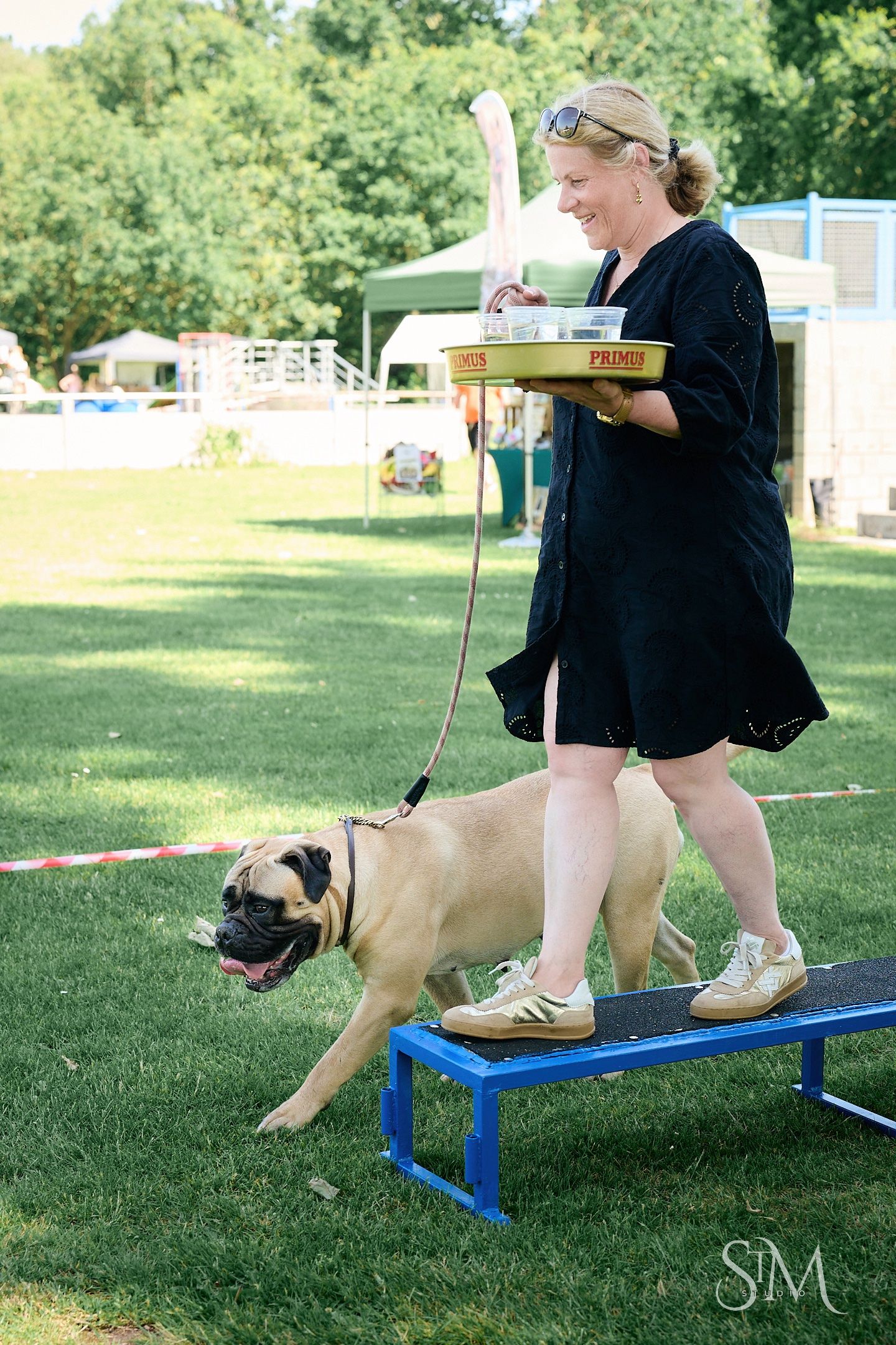 A woman in black dress walks a fawn Bullmastiff dog on a leash at an outdoor dog show event.