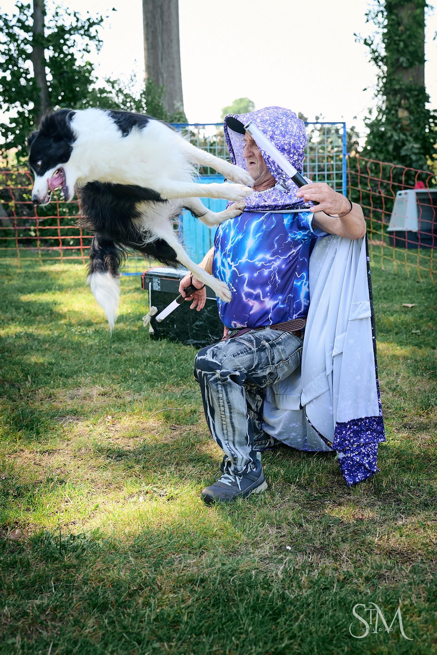 Person in colorful lightning print hoodie playing with a jumping black and white Border Collie dog outdoors.