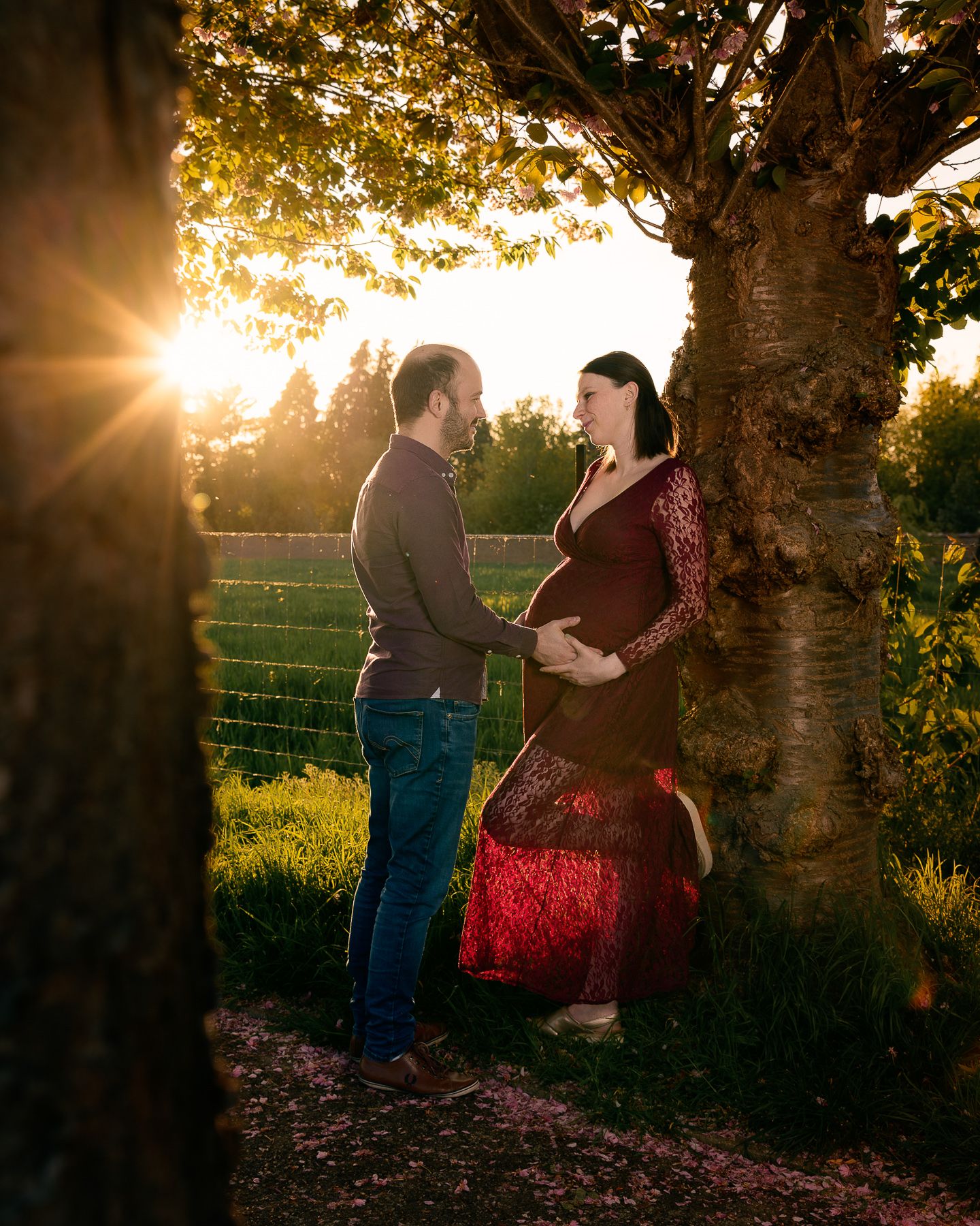 Couple sharing a tender maternity moment under a tree at golden sunset in a lush green park.