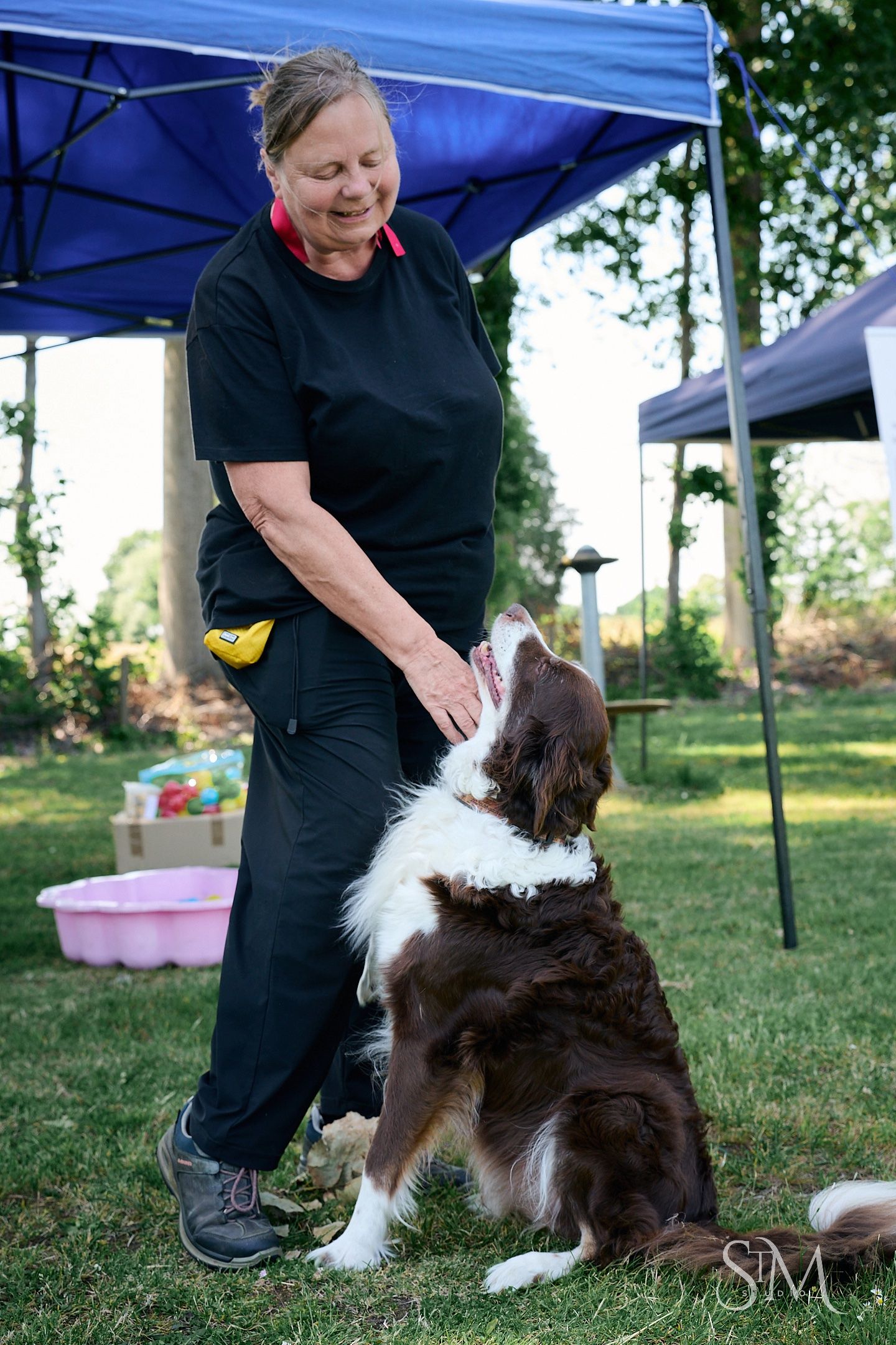Woman in black outfit petting a brown and white Border Collie dog on green grass under a blue canopy tent.