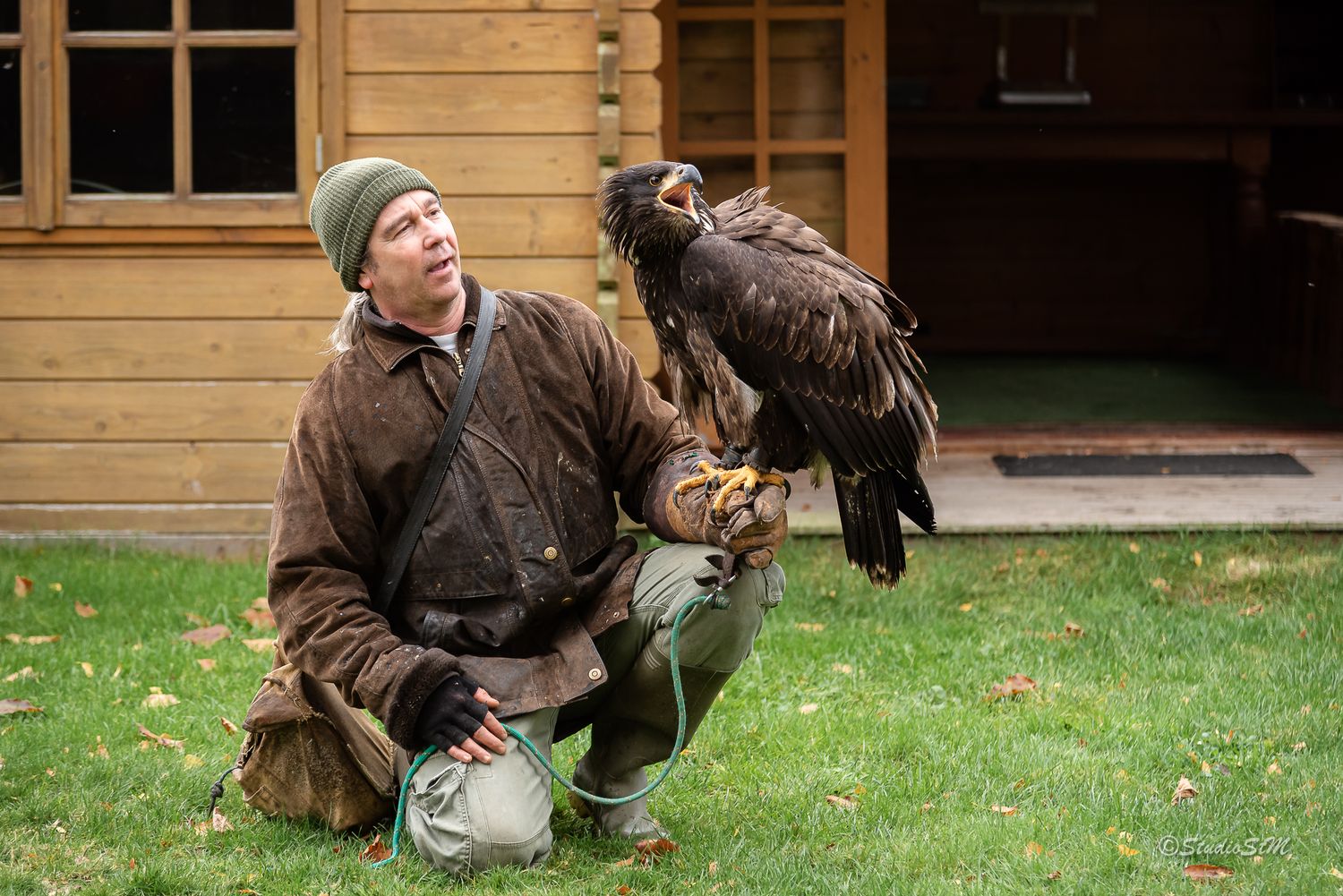 A falconer kneeling on grass holds a large eagle on his gloved hand outside a wooden building.