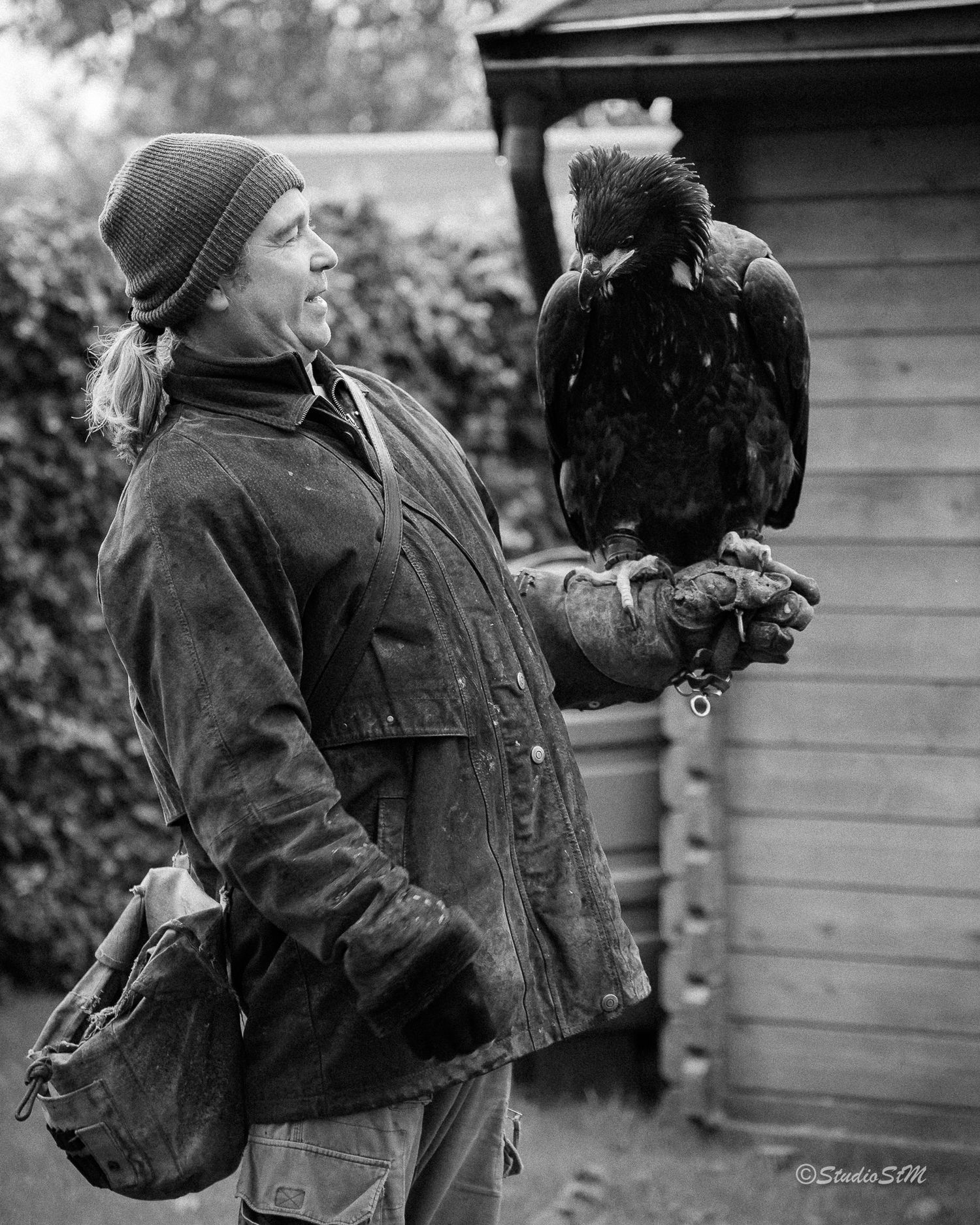 Black and white photo of a falconer holding a large bird of prey on a gloved hand outdoors.