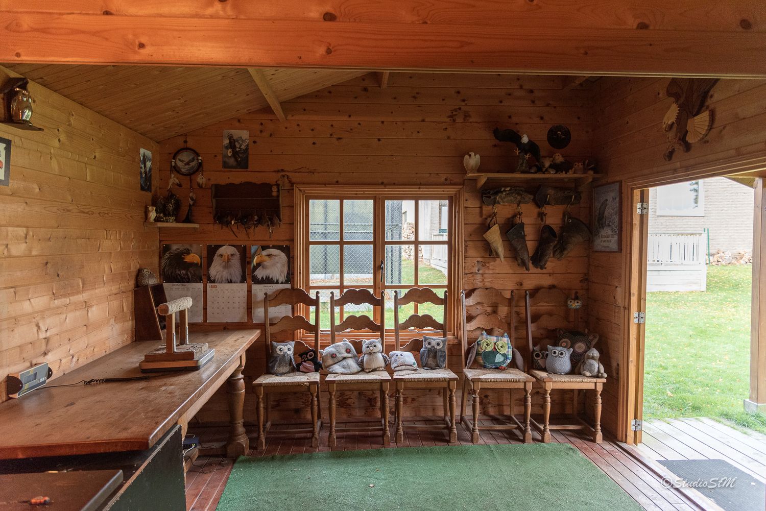 Rustic wooden cabin interior with chairs, a workbench, wall decorations, and a green rug near an open door.