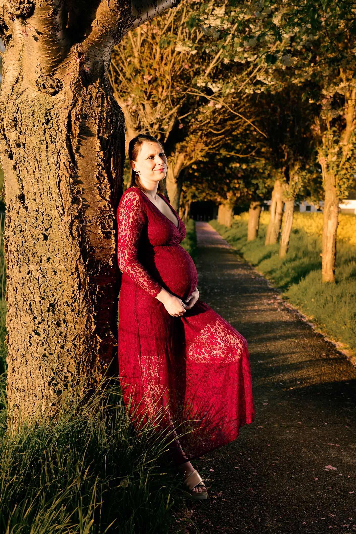Pregnant woman in red lace dress leaning against tree on sunlit path, cradling baby bump during golden hour.