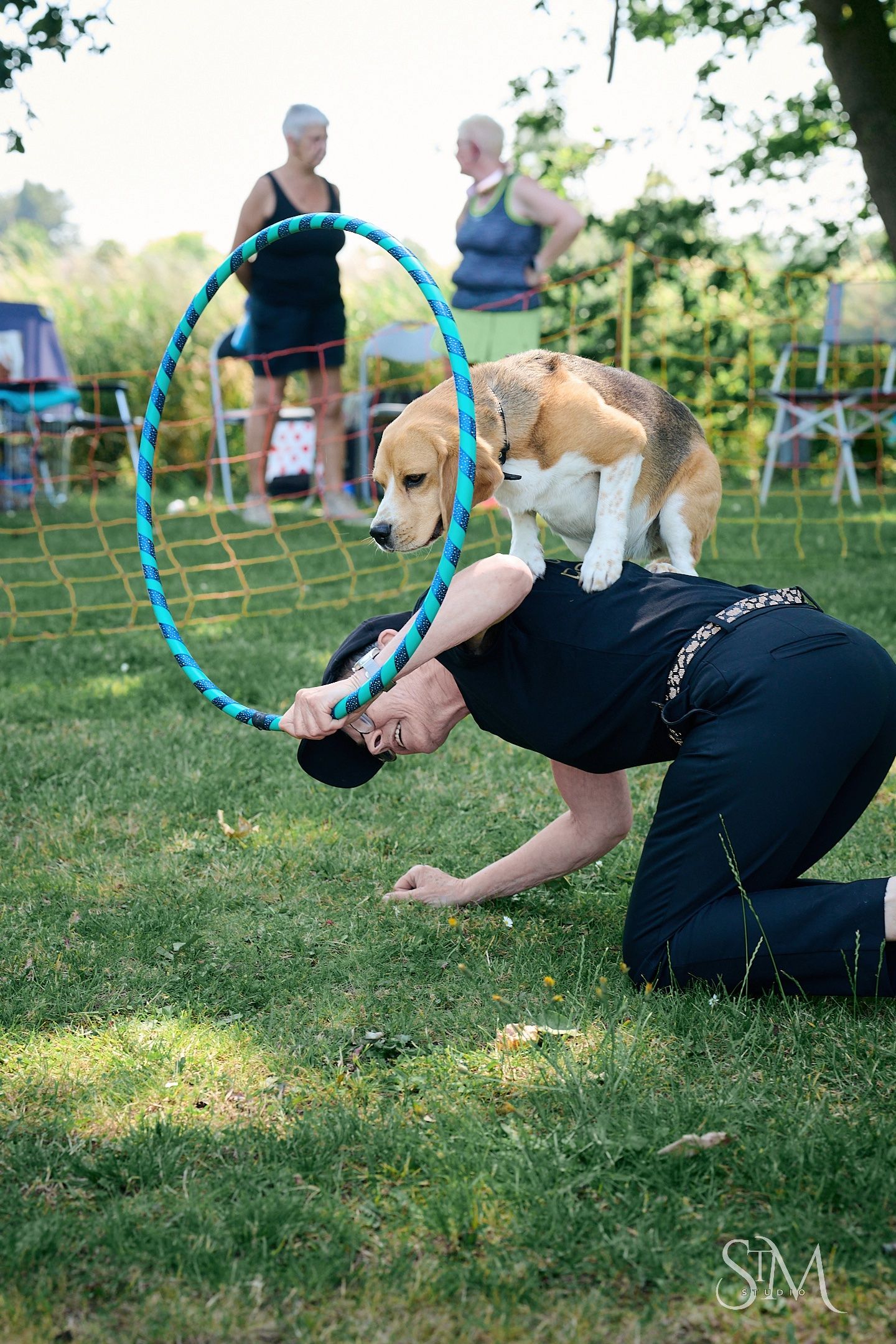 A beagle dog balances on a person's back as they crouch through a blue hula hoop during an outdoor dog agility show.
