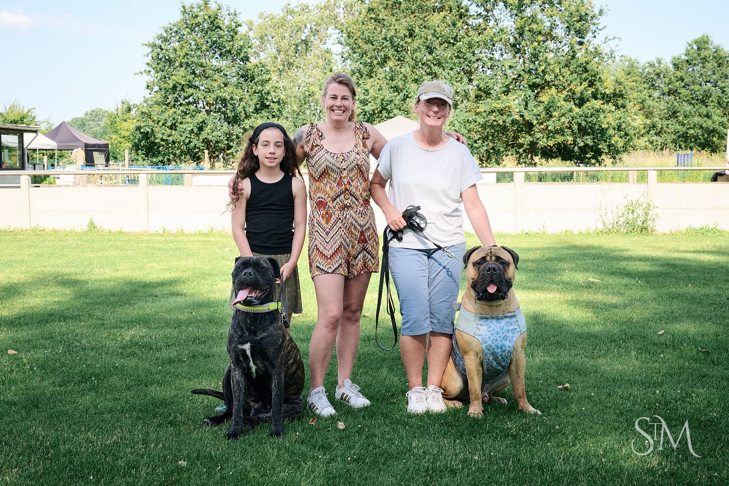 Three people posing outdoors with two large dogs on leashes in a green park on a sunny day.