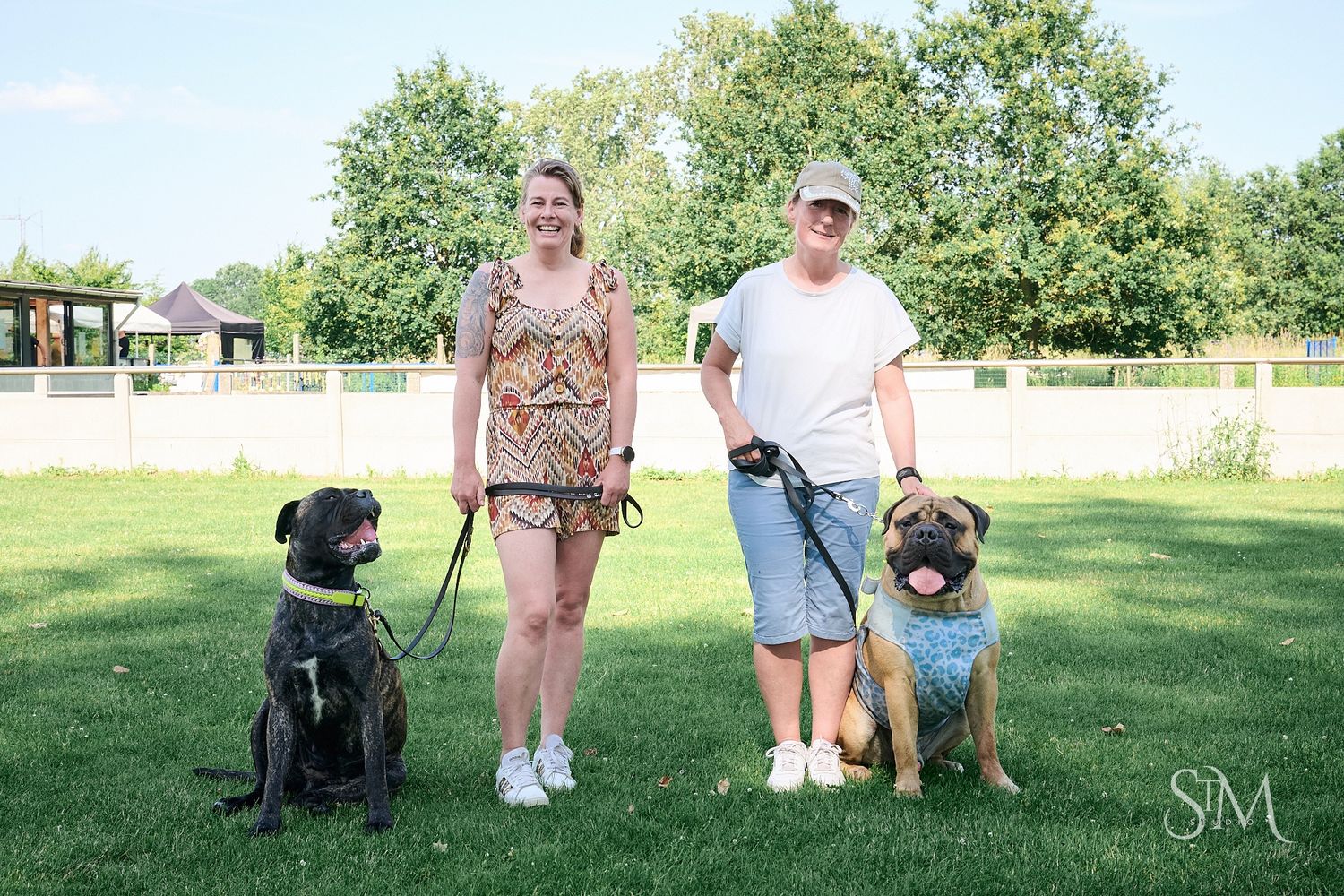 Two women standing on green grass with two Boxer dogs on leashes in a sunny park setting.