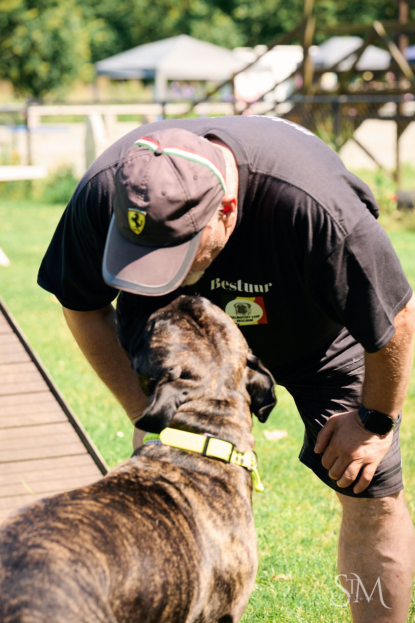 Man in Ferrari cap bending down to interact with a brindle dog wearing a yellow collar outdoors.