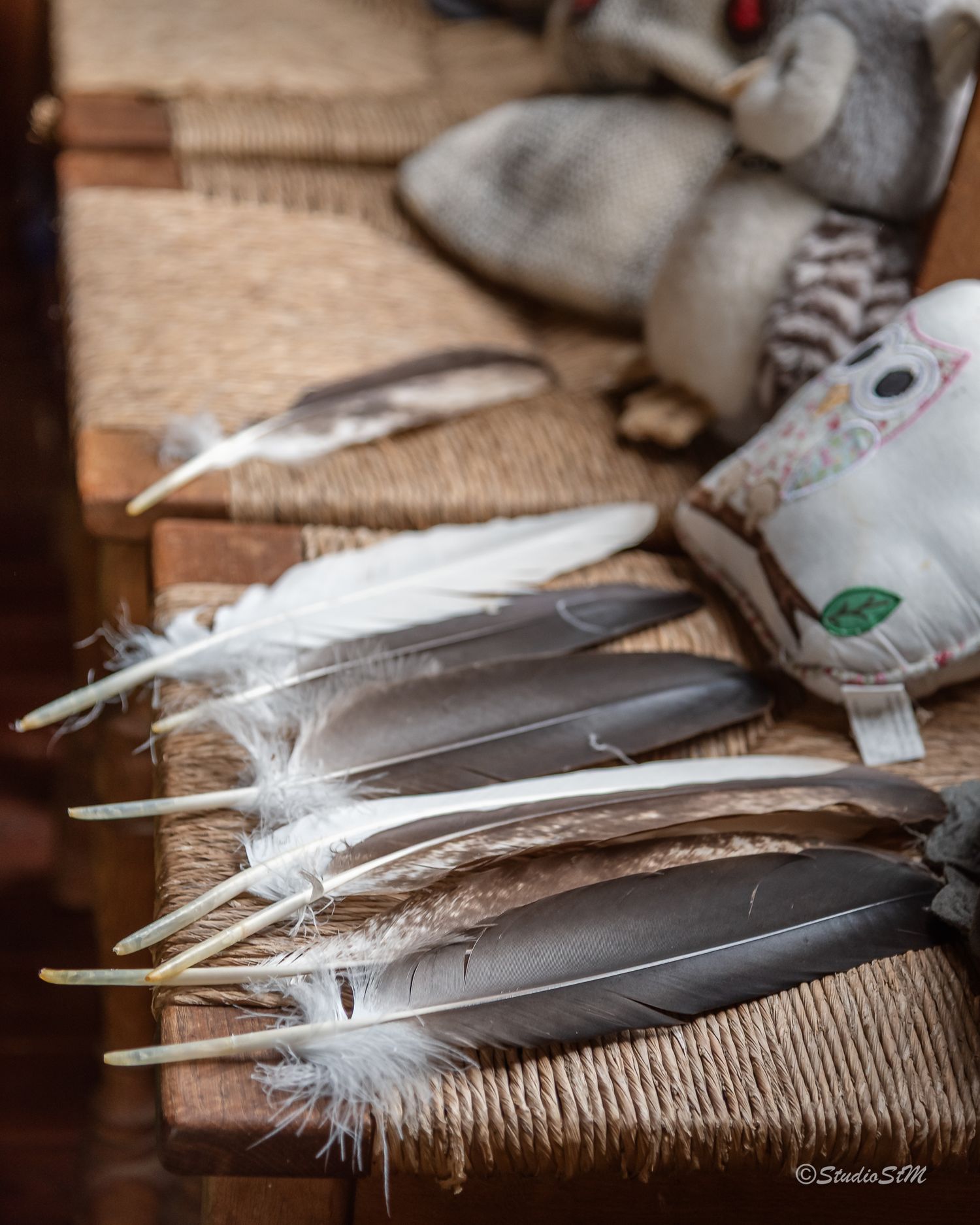 Collection of natural bird feathers arranged on a woven chair beside a stuffed owl toy in a rustic setting.