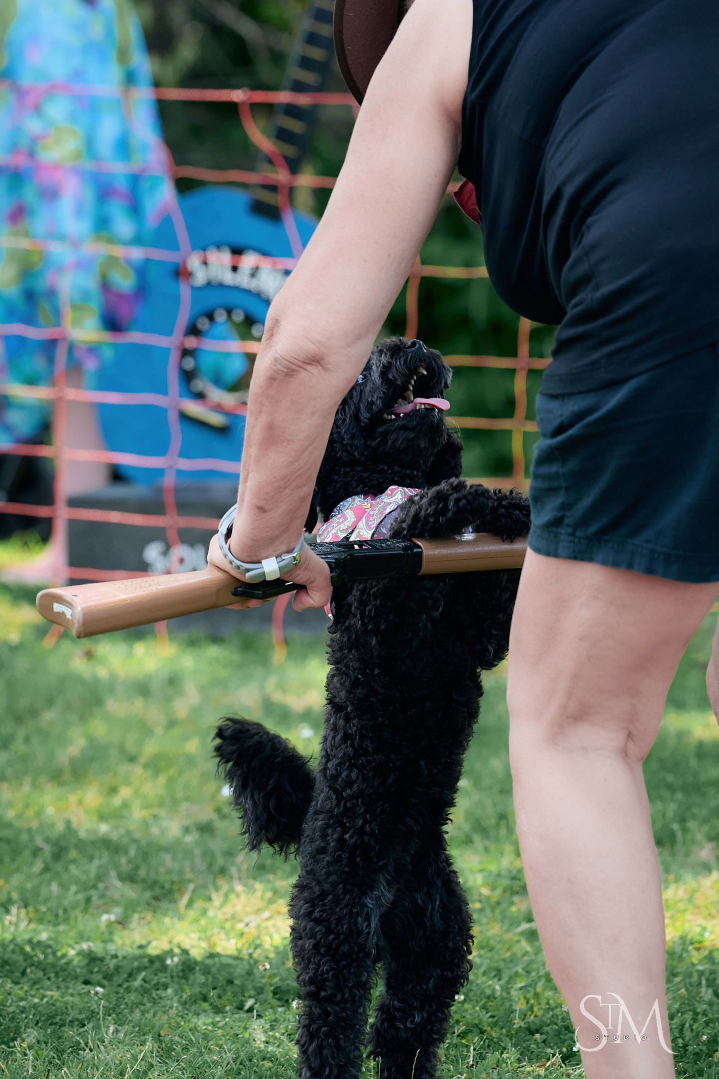 A black poodle stands on hind legs reaching for a wooden stick held by a person in a black outfit outdoors.