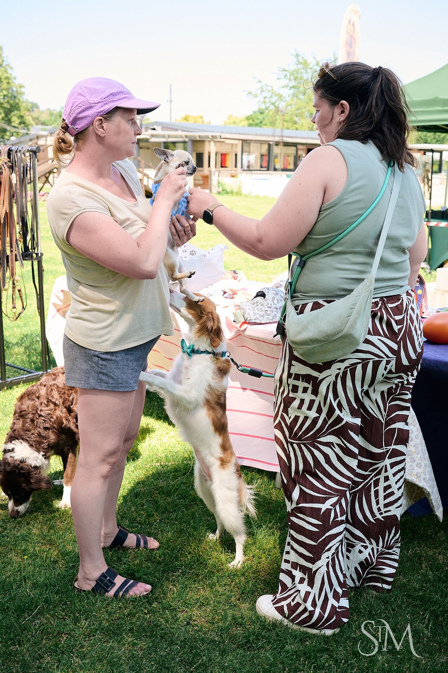 Two women interact with dogs at an outdoor pet market event on a sunny day.