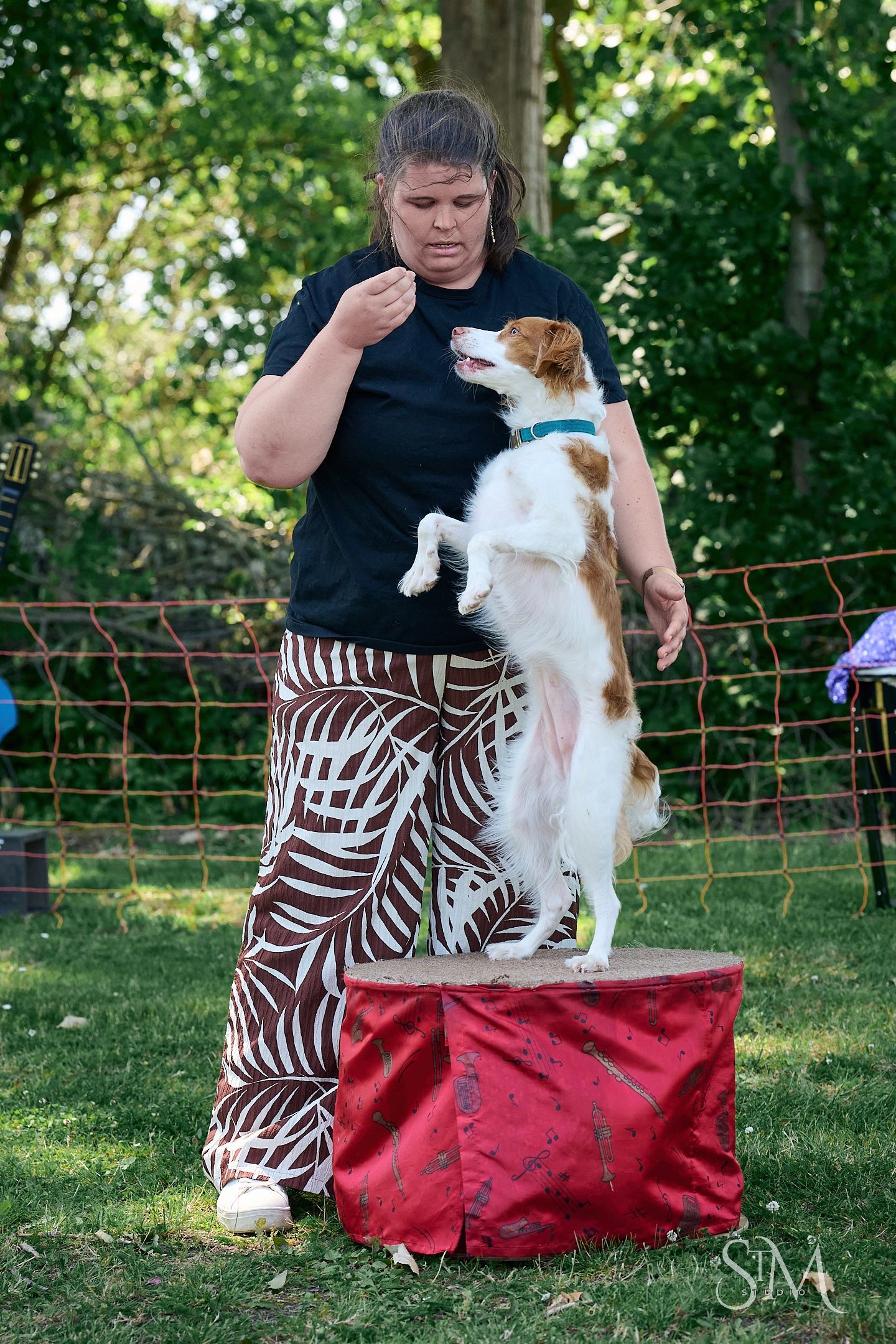 Woman in floral pants trains a brown and white dog standing on a red platform outdoors at a dog show.