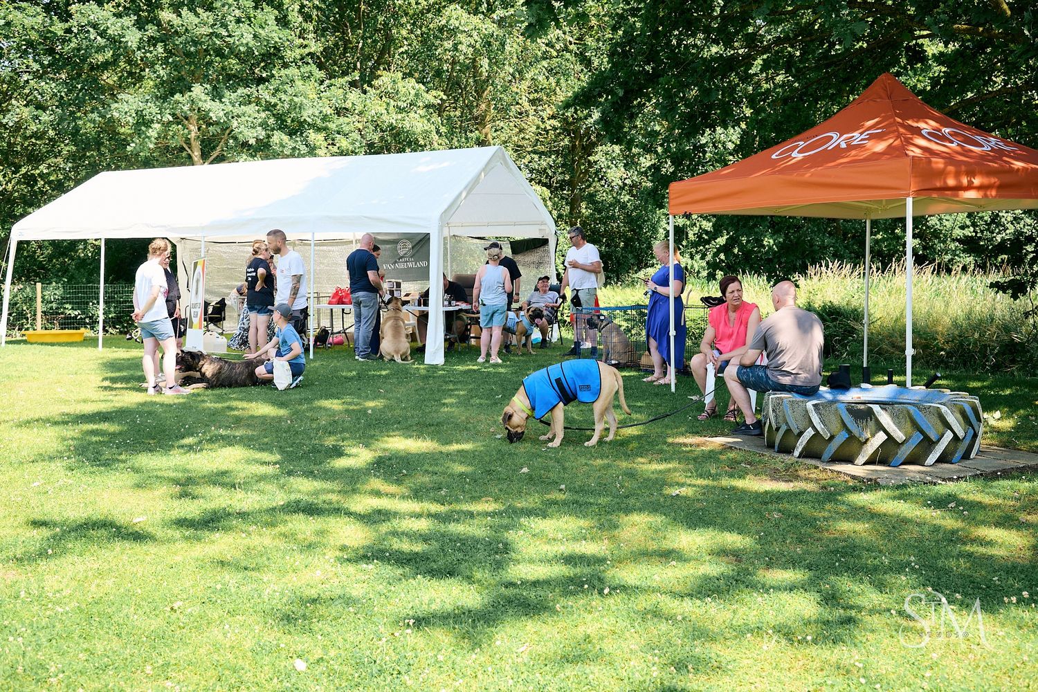 Outdoor dog event with people gathered under white and orange canopy tents on a sunny green lawn.