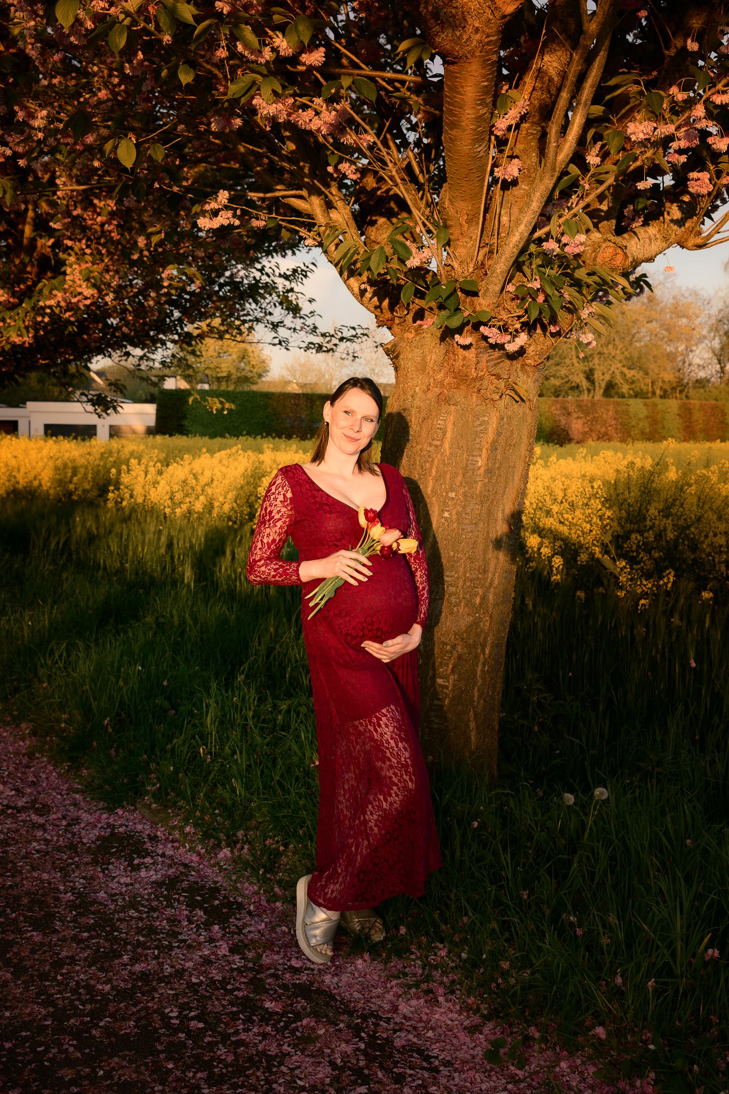 Pregnant woman in red lace dress holding flowers, leaning against blooming tree in golden sunset light.
