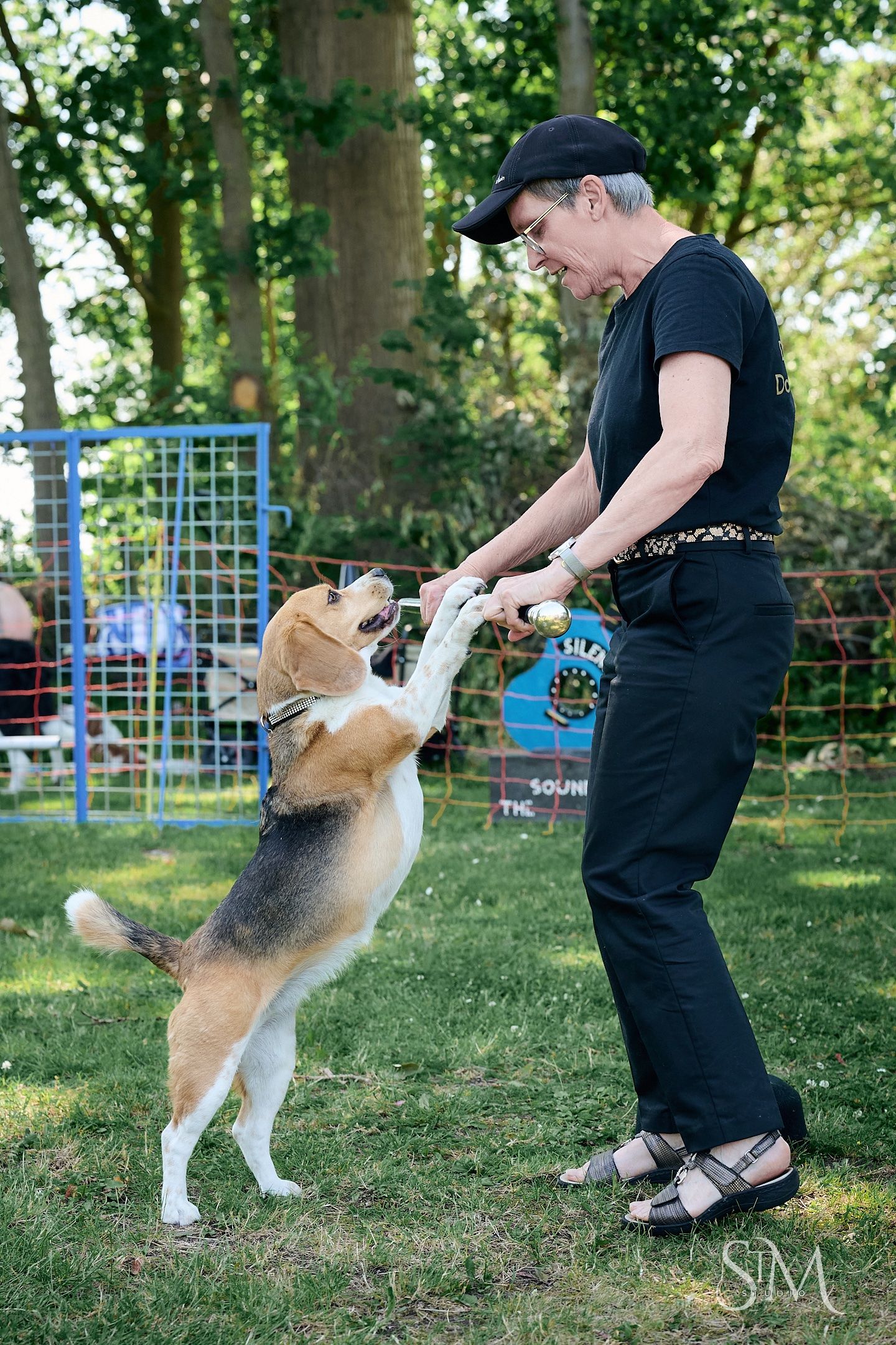 A woman in black clothing trains a tricolor Beagle dog standing on hind legs in an outdoor park setting.
