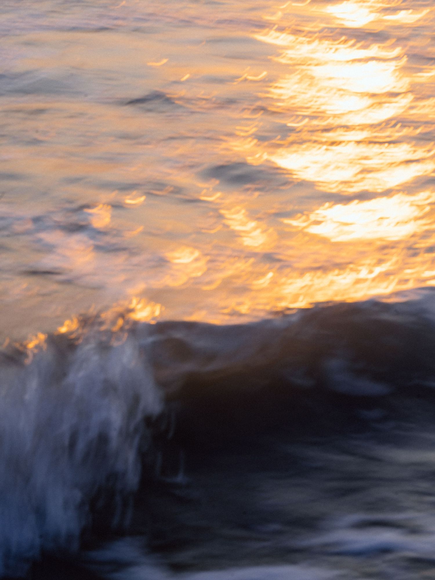 Golden sunset light reflects on ocean waves as a cresting wave splashes in the foreground.-Marina Pochepkina photography