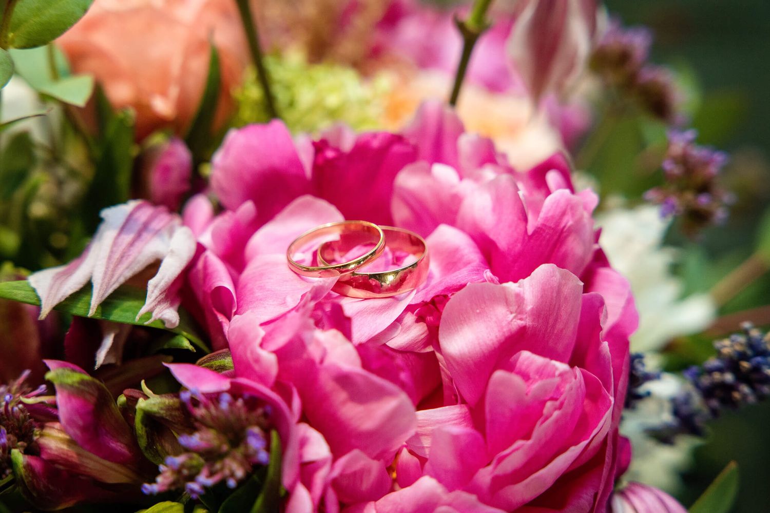 Two gold wedding rings resting on pink peony blossoms photo taken at The Anglers Rest Dublin by AK wedding photography.