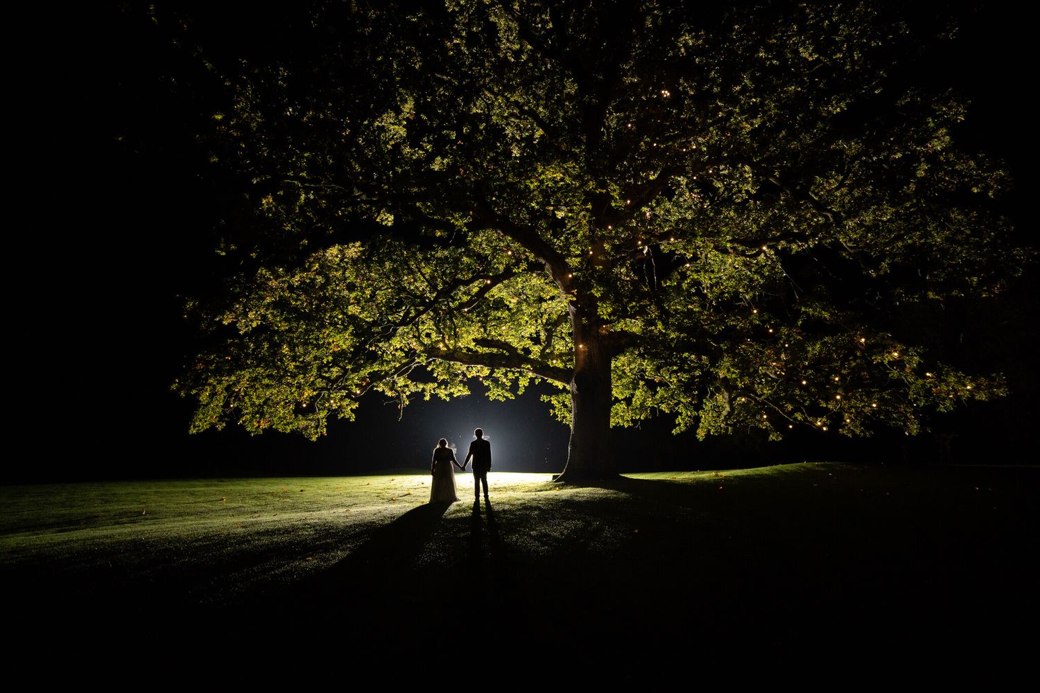 Wedding couple stand silhouetted under the epic oak at Rathsallagh house, Kildare photo by AK wedding photography and videography.