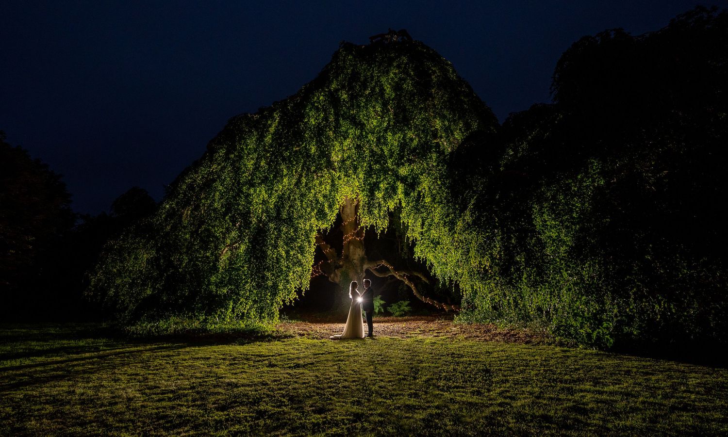 Couple stands illuminated beneath a dramatic arched tree canopy at night in a lush green landscape at Bellinter house.