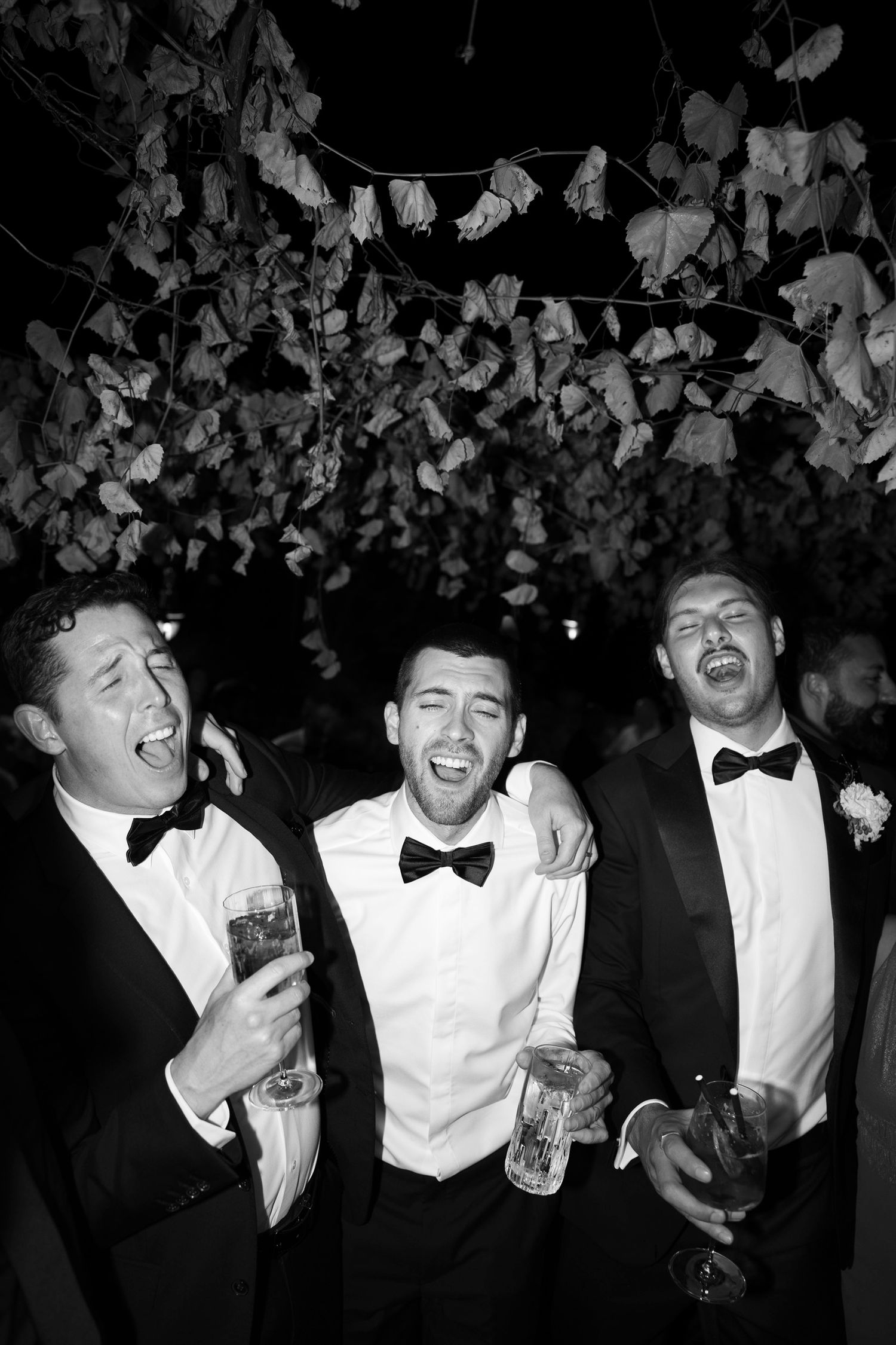 Groomsmen in black bow ties and white shirts laughing together at a wedding reception. Hvar, Croatia