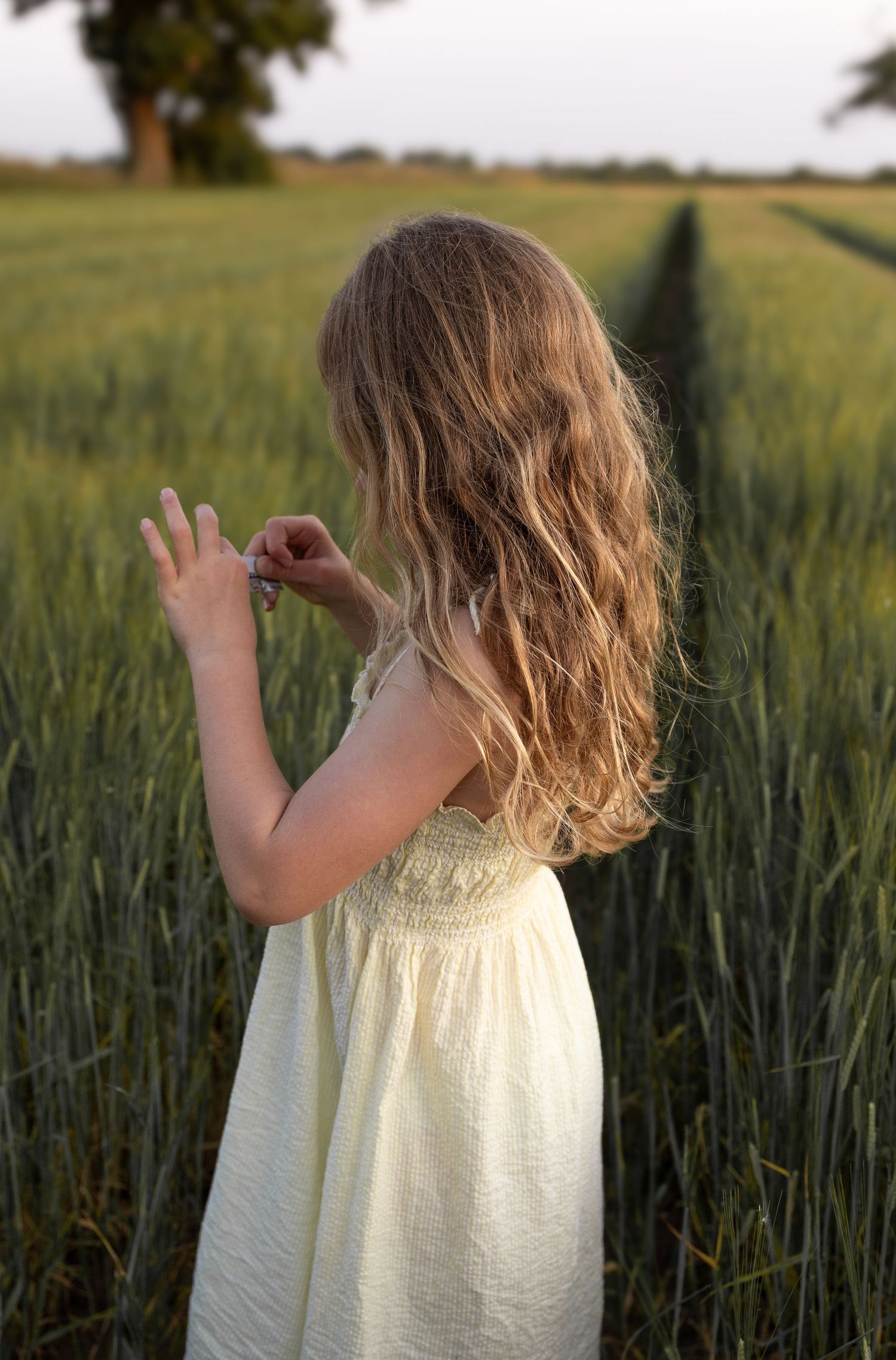 A girl in a white dress standing in a wheat field at golden hour.