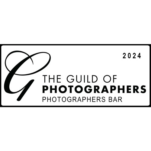 badge showing The Guild of Photographers 2024 Photographer Bar earner