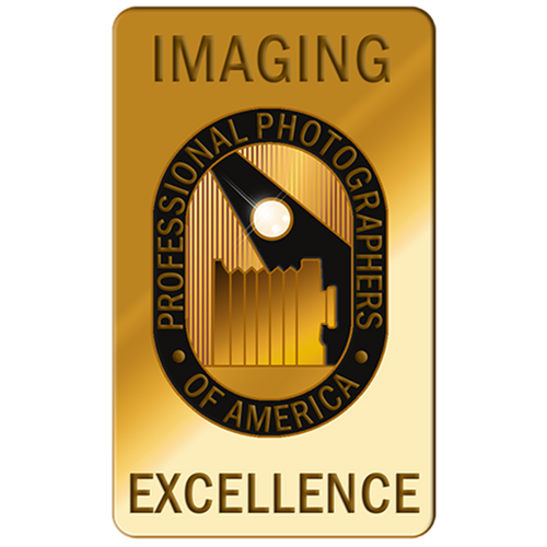 banner signifying Imaging Excellence awards from the Professional Photographers of America