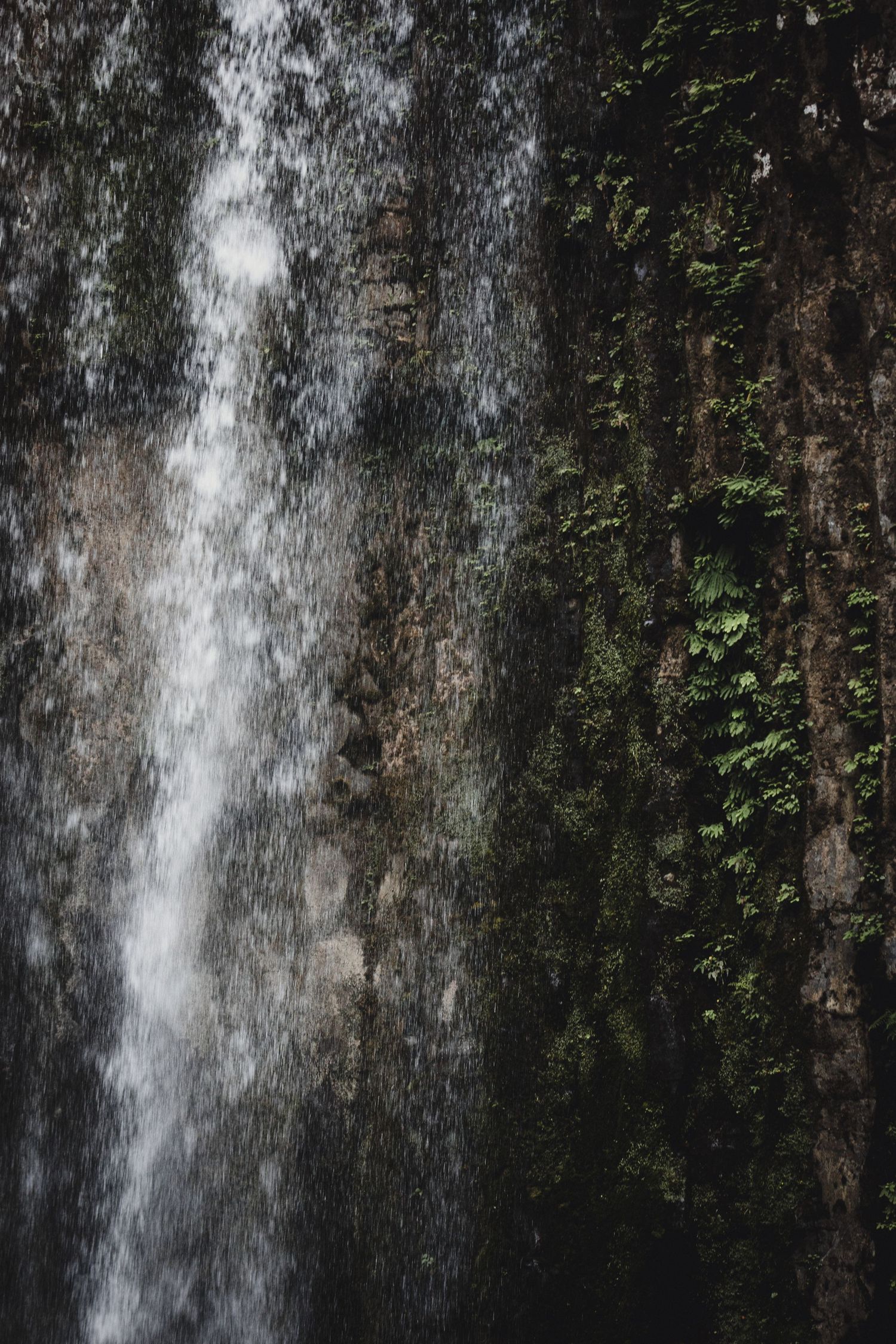 Water cascades down a moss-covered rocky cliff face in a lush green forest setting.