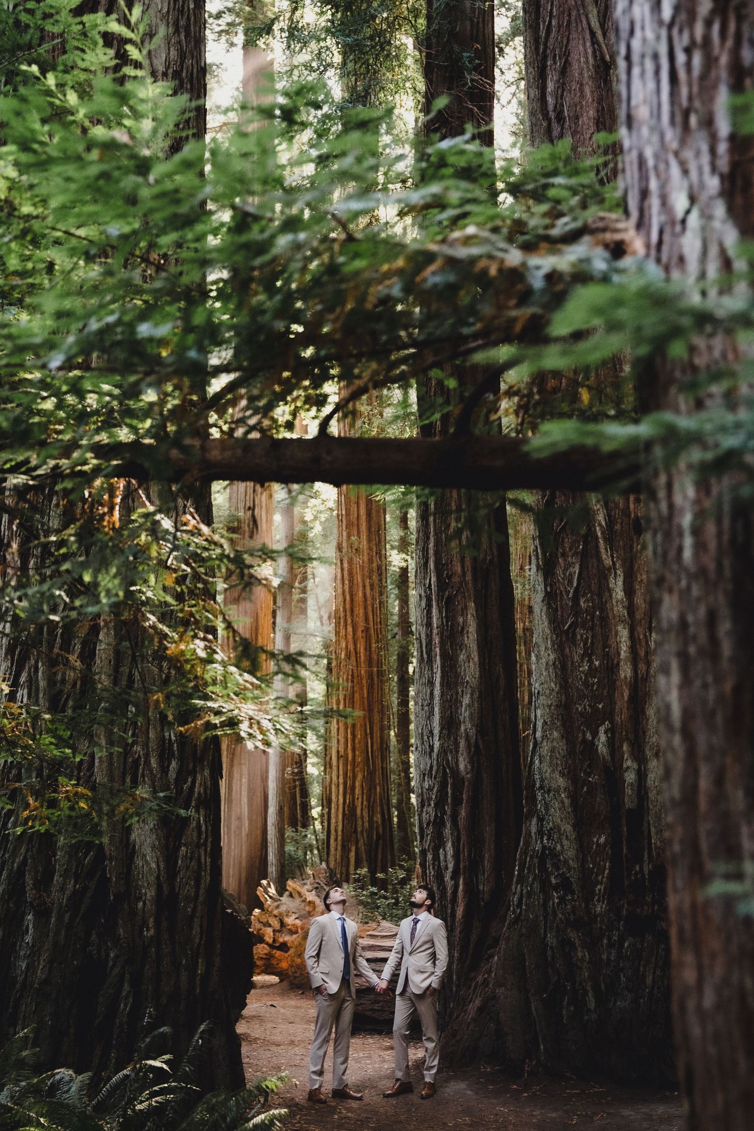 Two grooms in gray suits stand among towering redwood trees in a lush forest wedding ceremony.