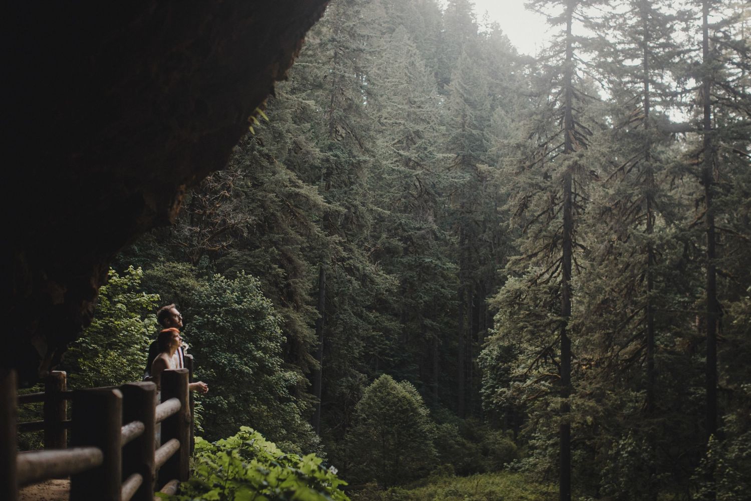 Eloping at Silver Falls State Park. Couple takes in the forest view by a wooden railing.