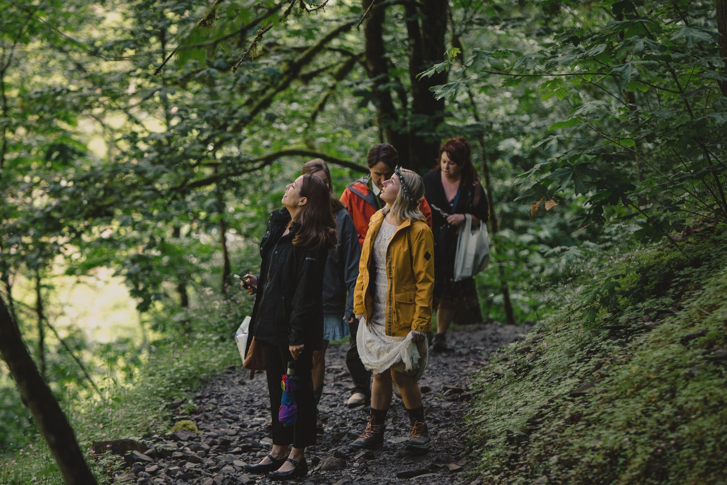 Small group walking along a wooded forest trail in natural lighting.