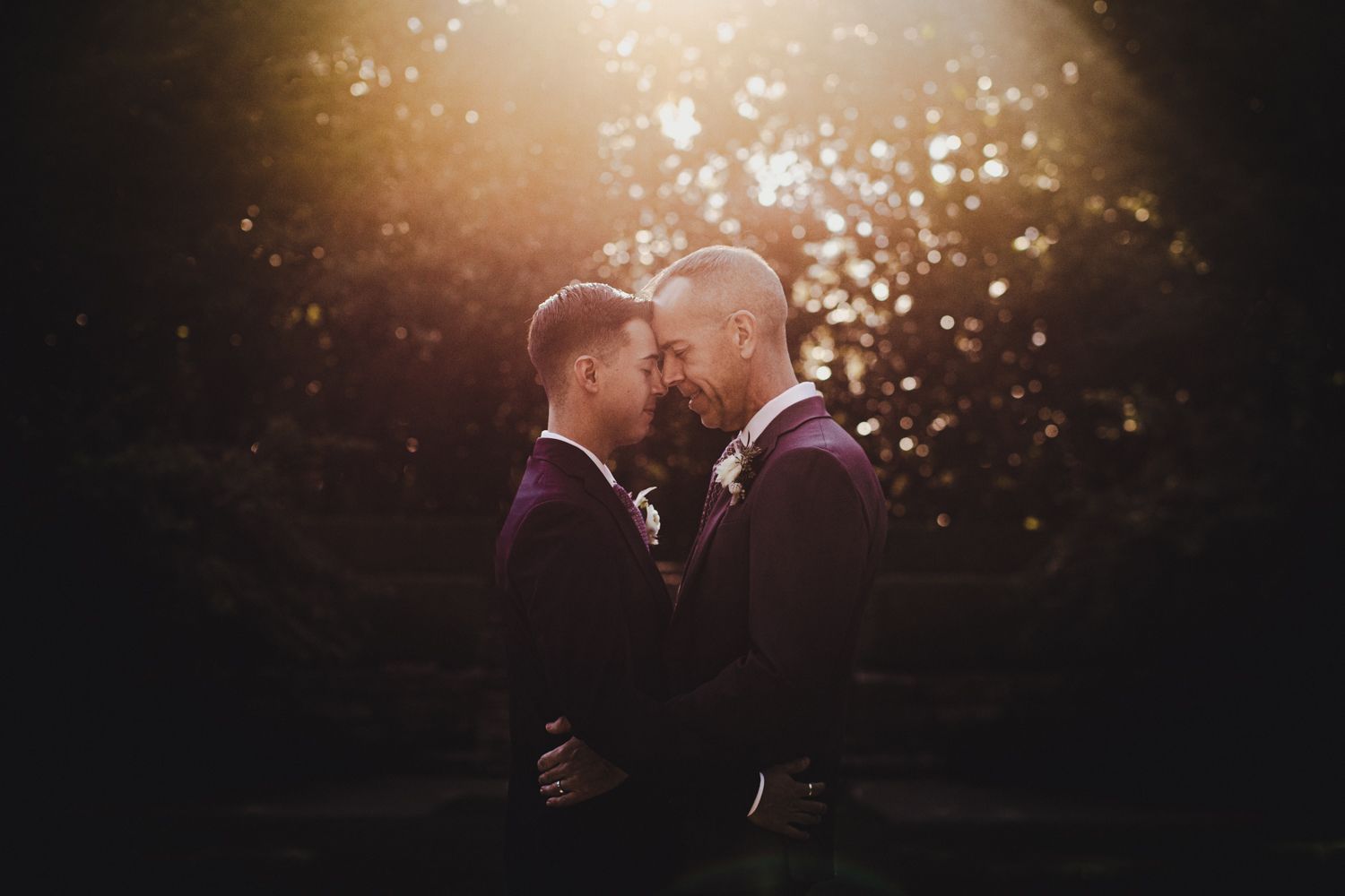 Two grooms in purple suits share a romantic moment outdoors, bathed in golden sunlight during their wedding.