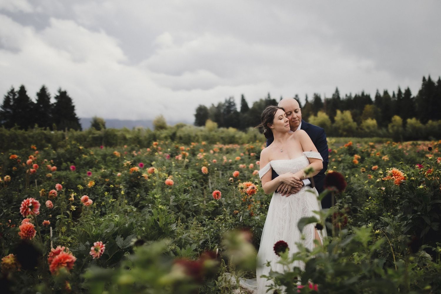 A beautiful garden setting with vibrant orange flowers and evergreen trees in the background.